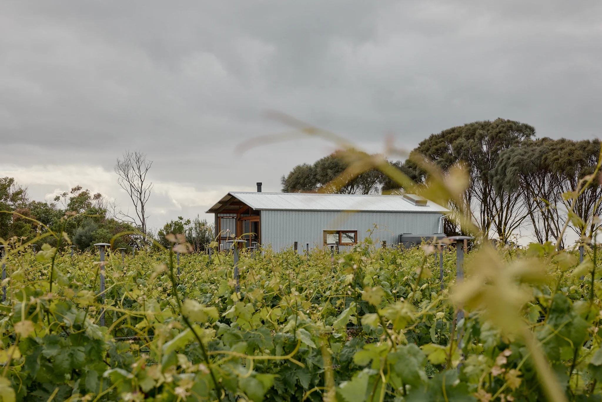 Ample Weekender - Basalt - Image 11