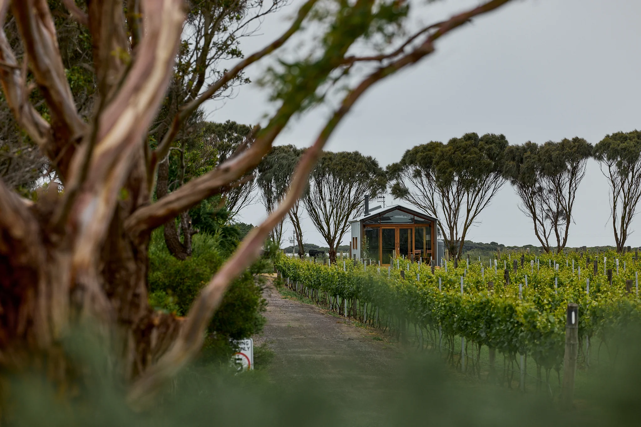 Ample Weekender - Basalt - Image 15