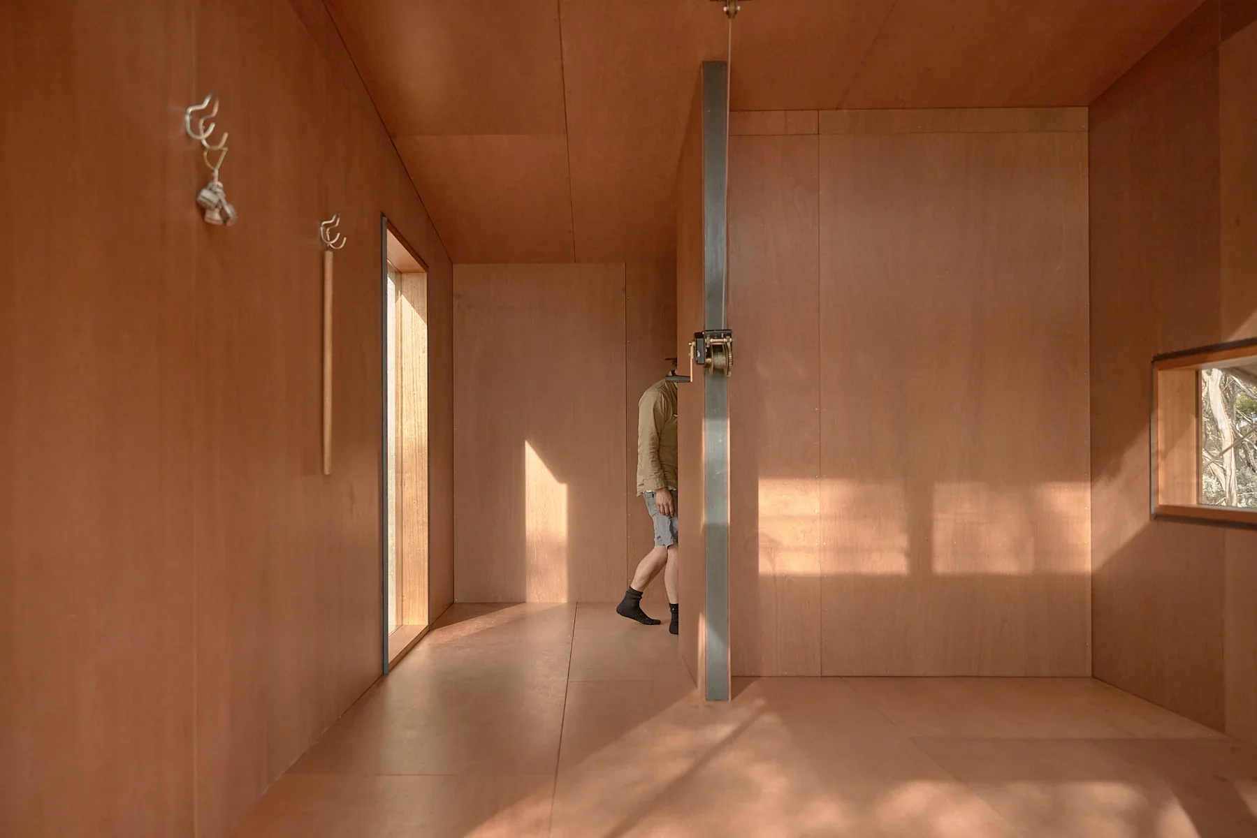 Ample Brumby - Image 3