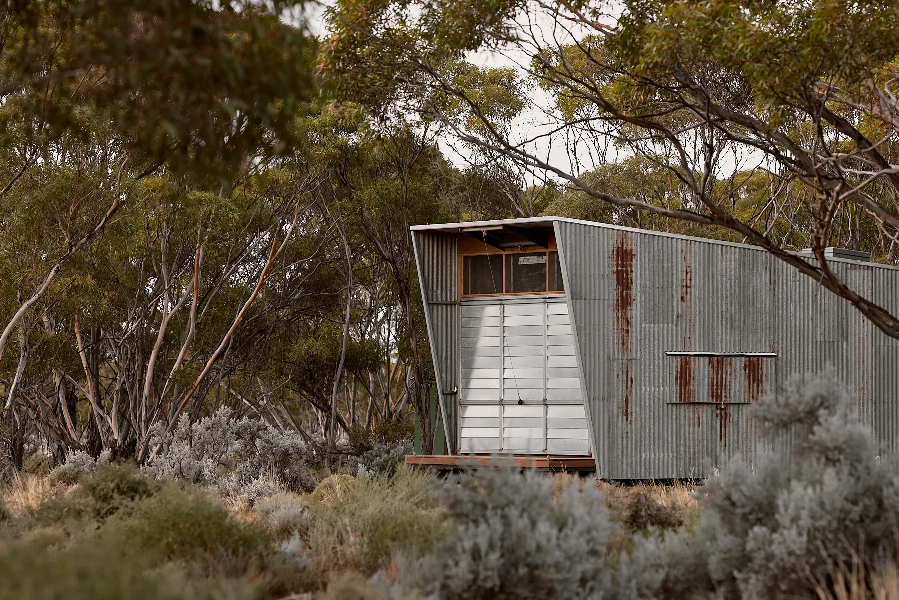 Ample Brumby - Image 4