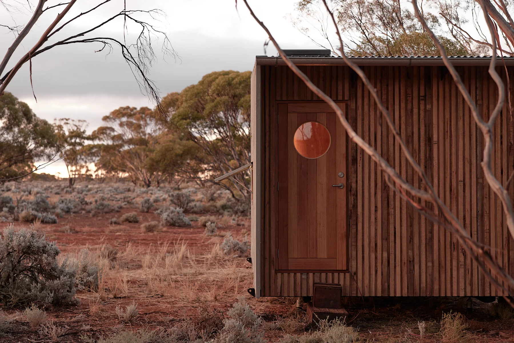 Ample Brumby - Image 7