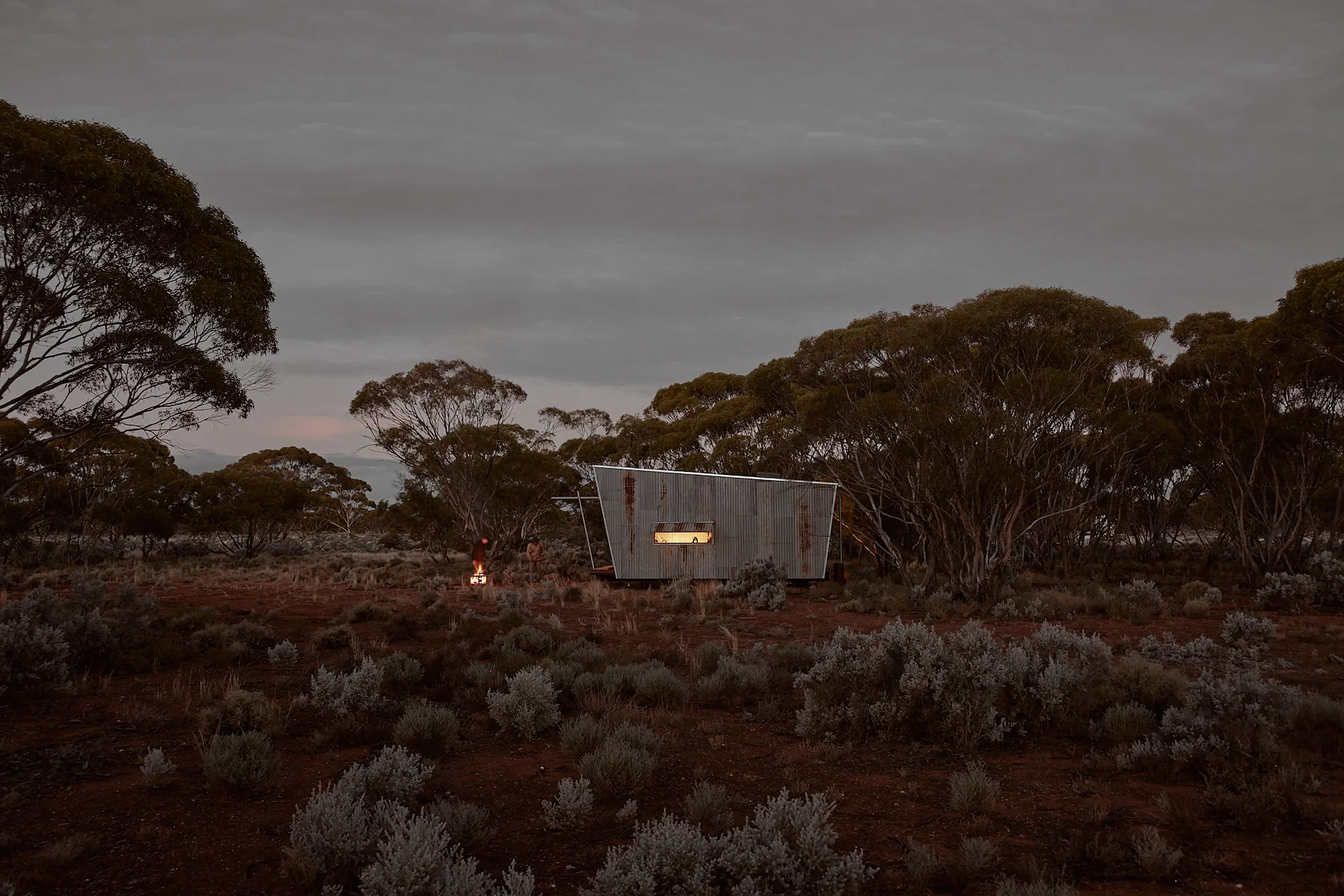 Ample Brumby - Image 9