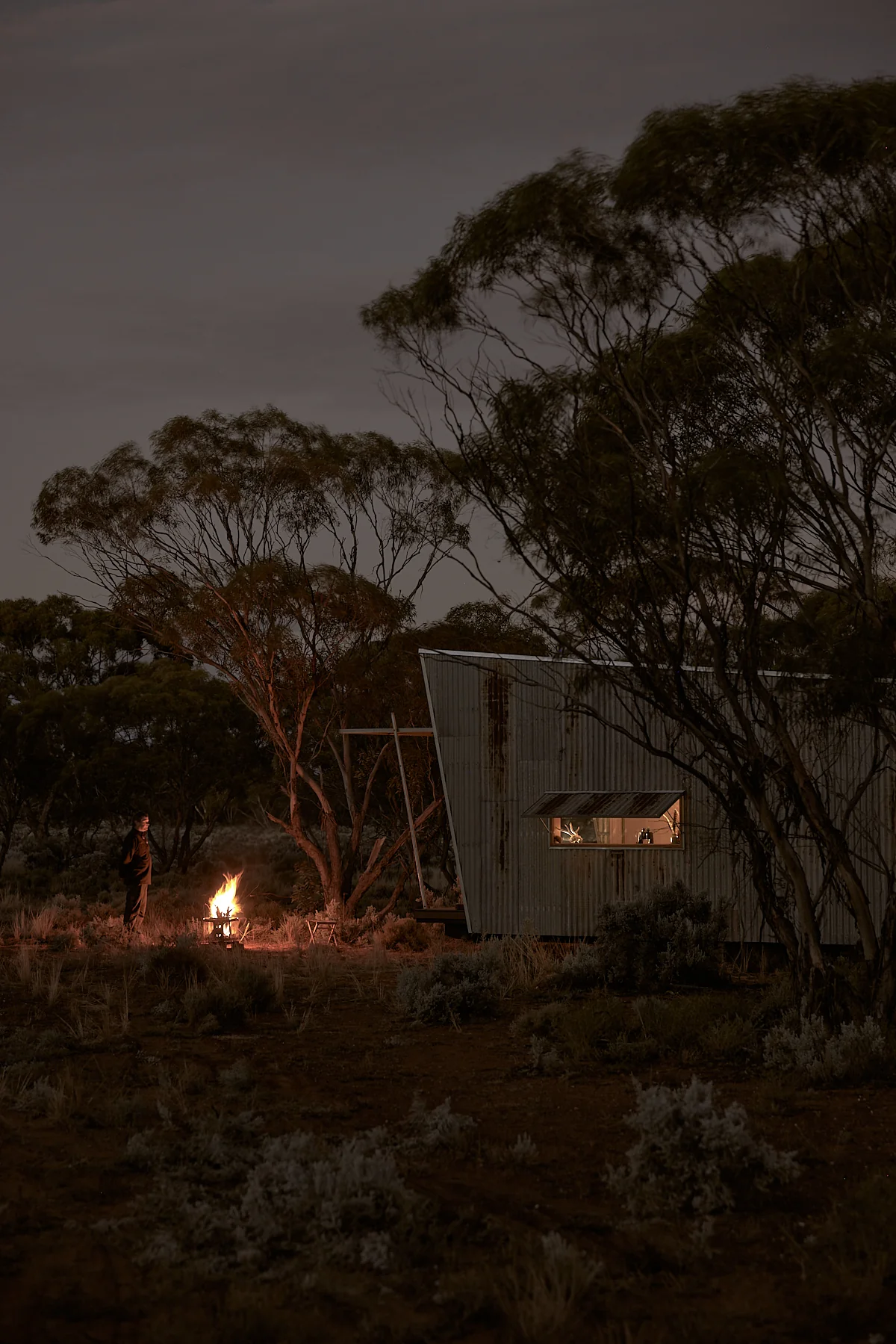 Ample Brumby - Image 10