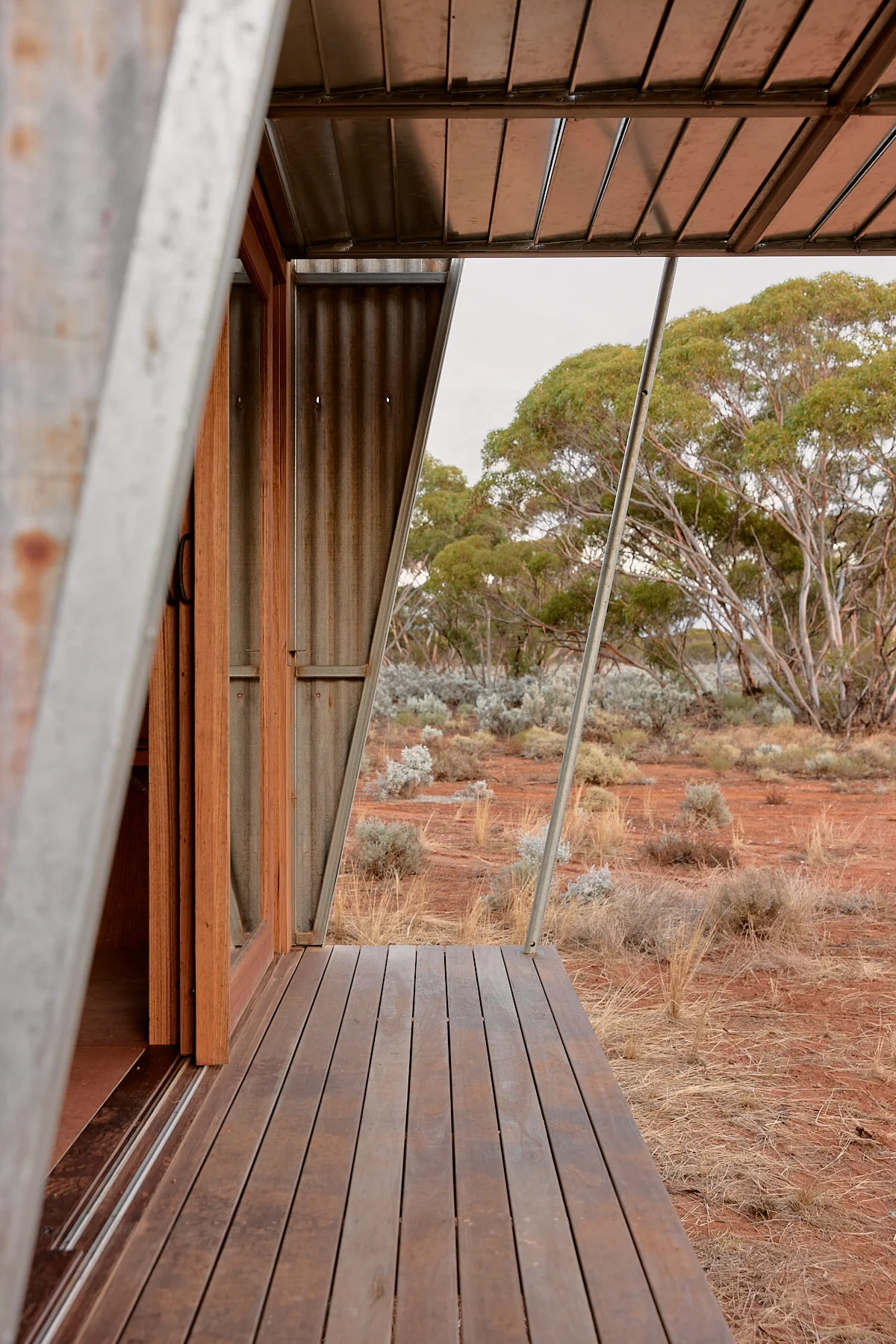 Ample Brumby - Image 12