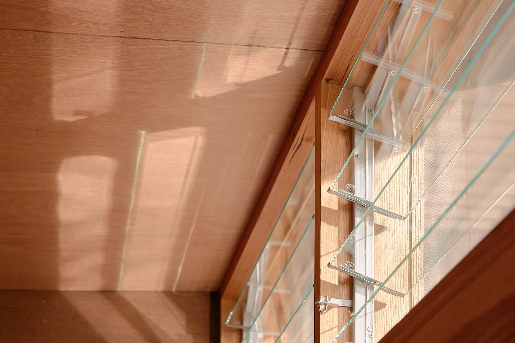 Ample Brumby - Image 22