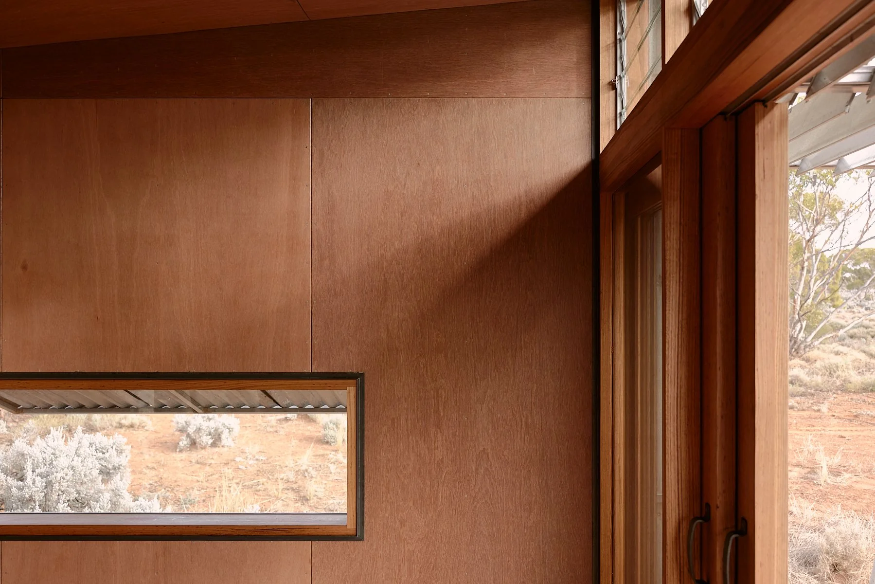 Ample Brumby - Image 23