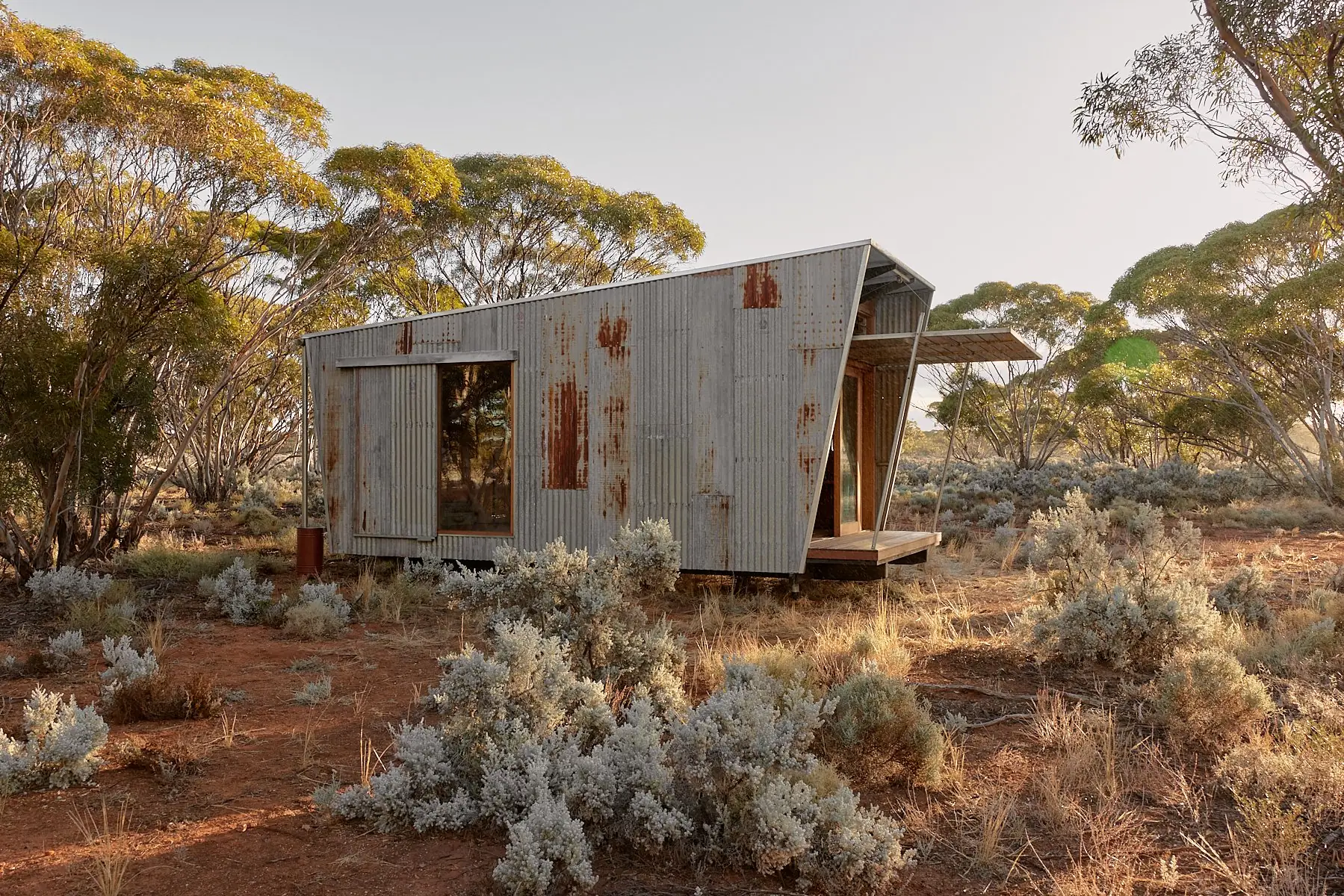 Ample Brumby - Image 24