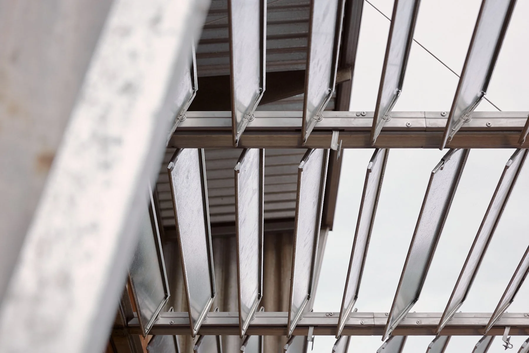 Ample Brumby - Image 26