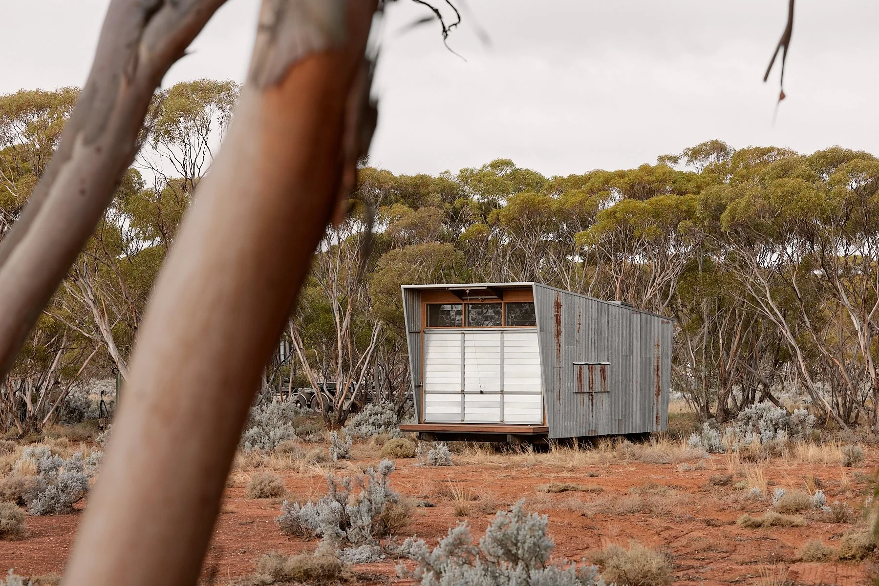 Ample Brumby - Image 27