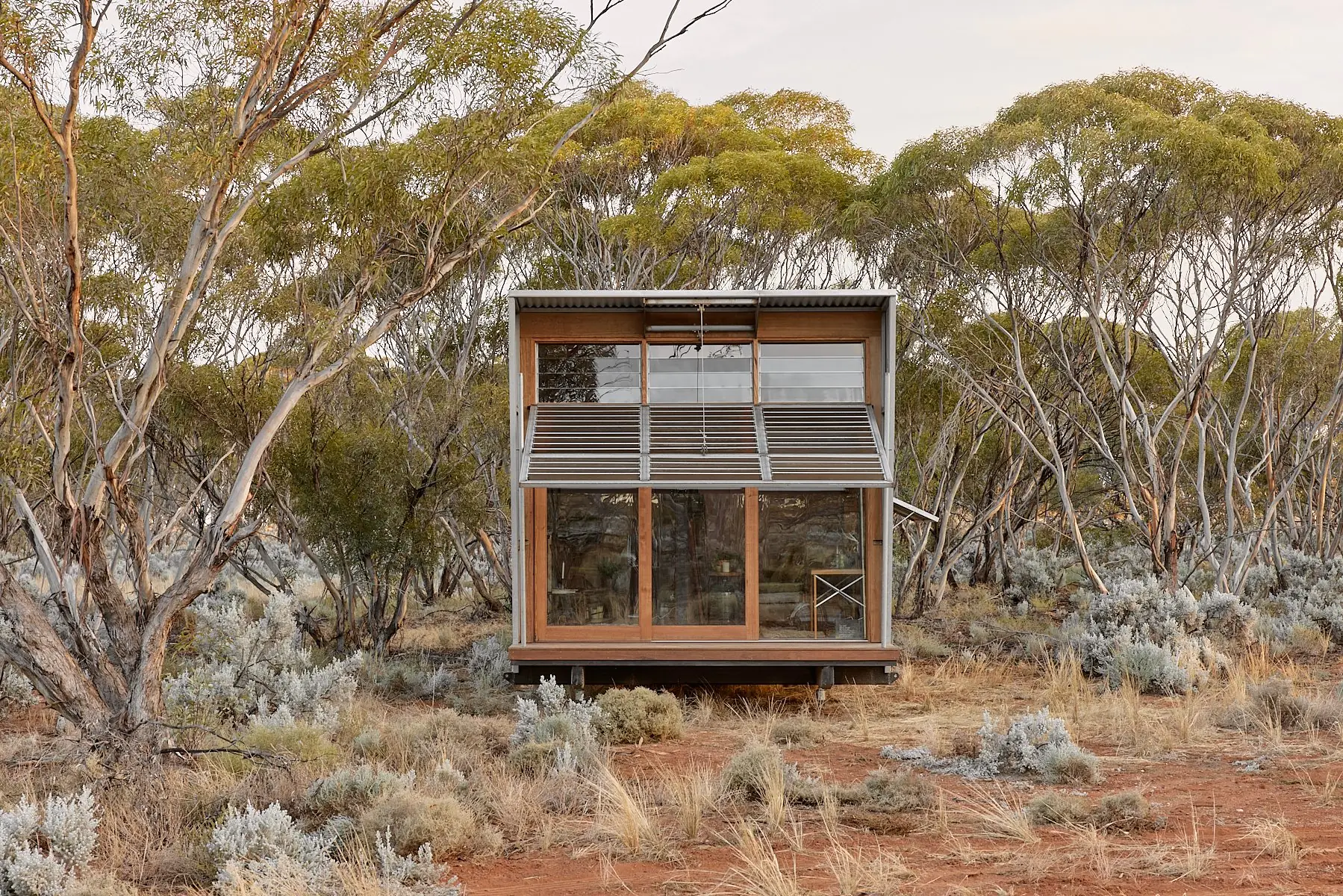 Ample Brumby - Image 28