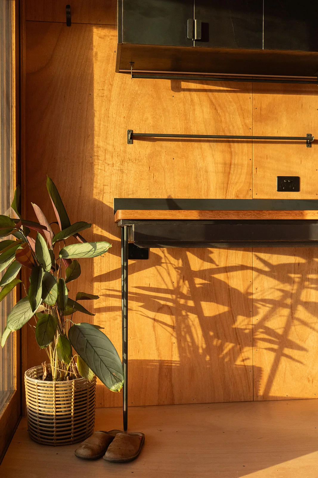 Ample Brumby Stradbroke - Image 6