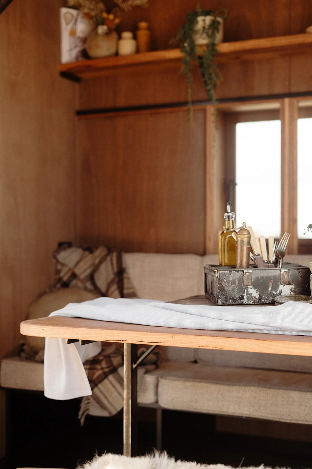 Ample Little Fella - Image 4