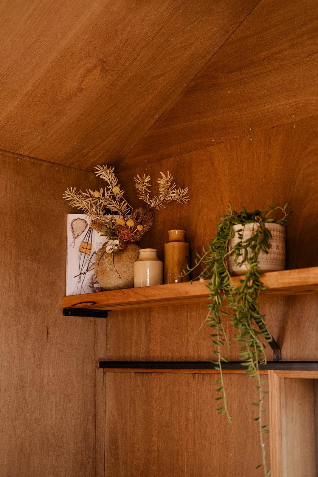 Ample Little Fella - Image 16