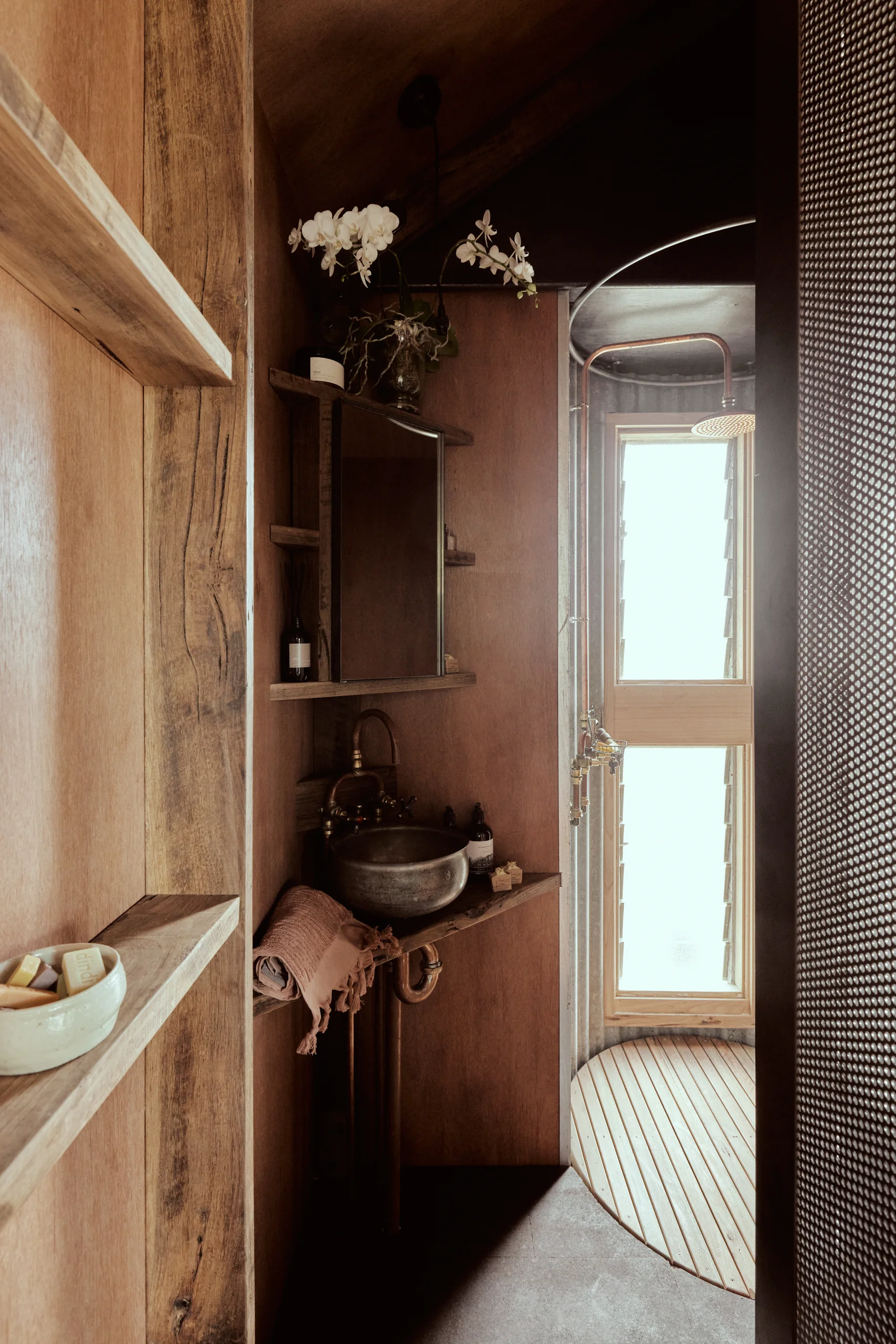 Ample Stella - Image 7