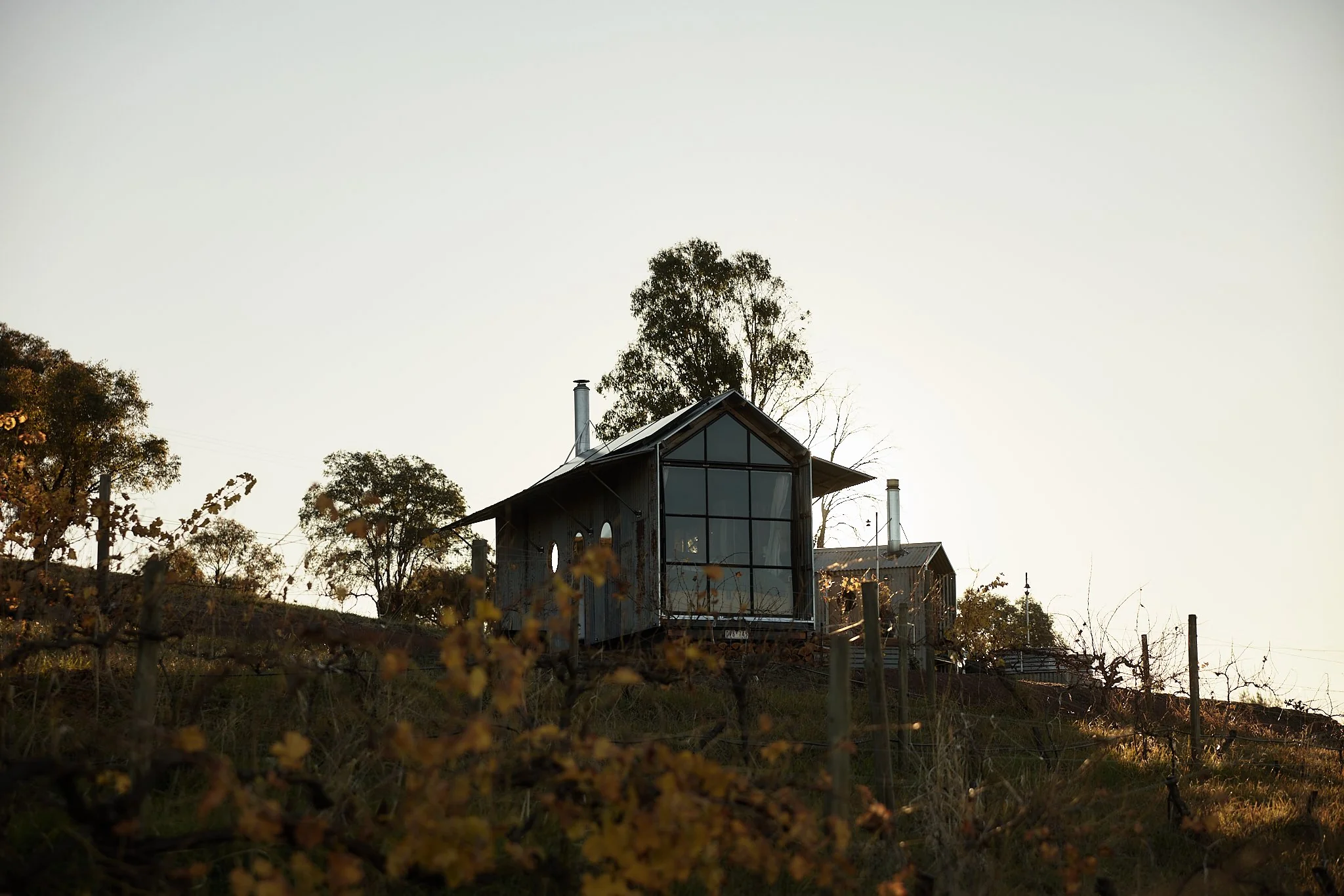 Ample Stella - Image 44