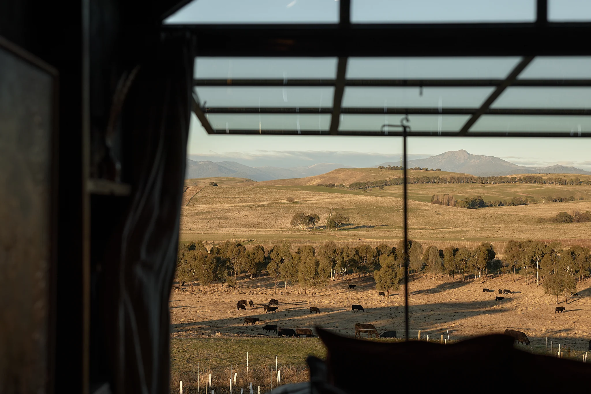 Ample Stella - Image 54