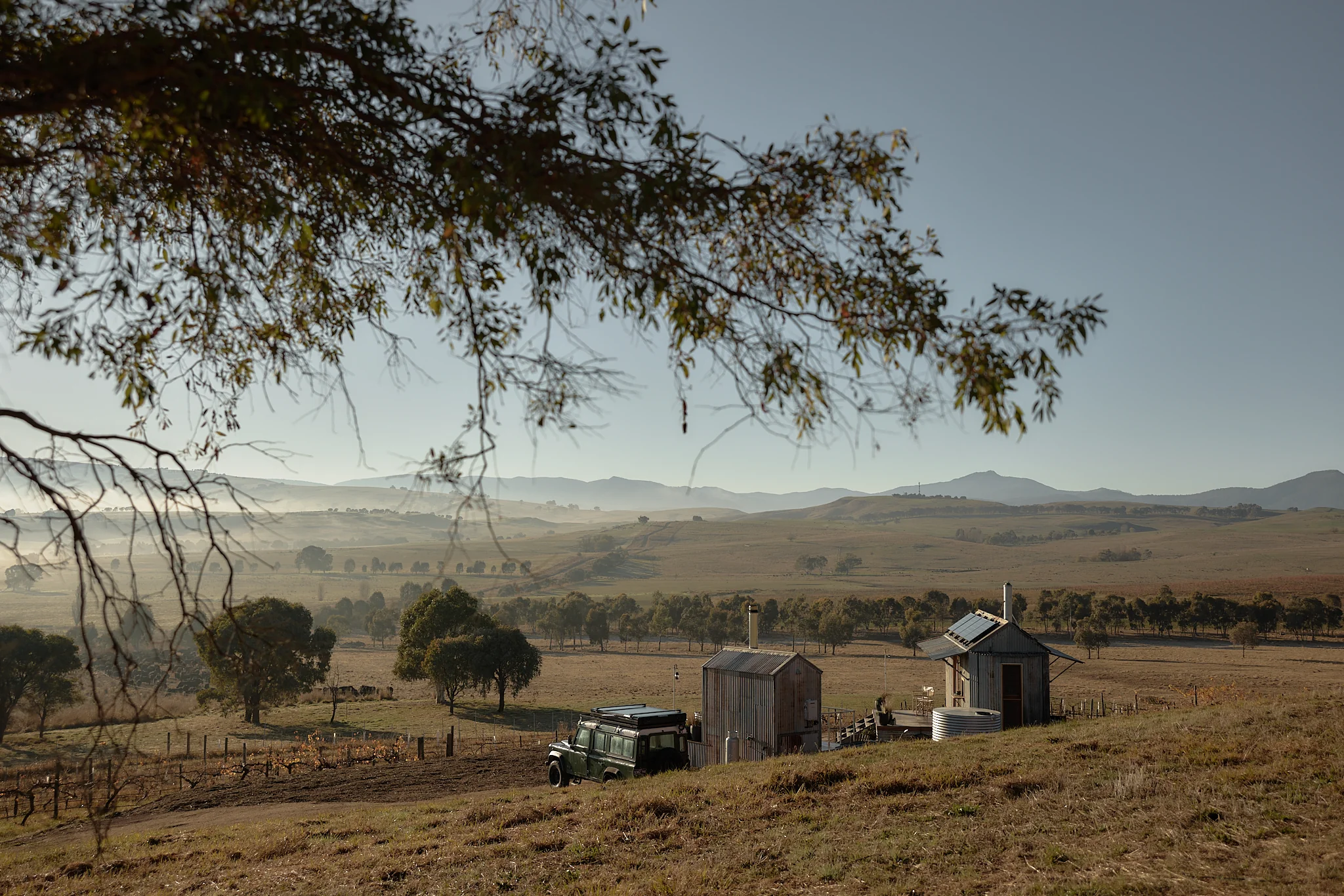 Ample Stella - Image 57