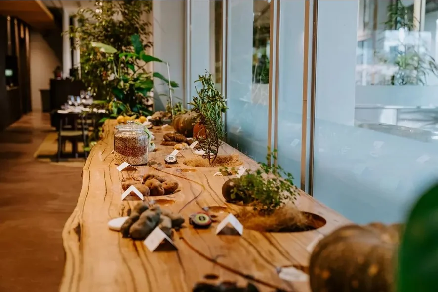 Farmers Daughters Fed Square - Image 4