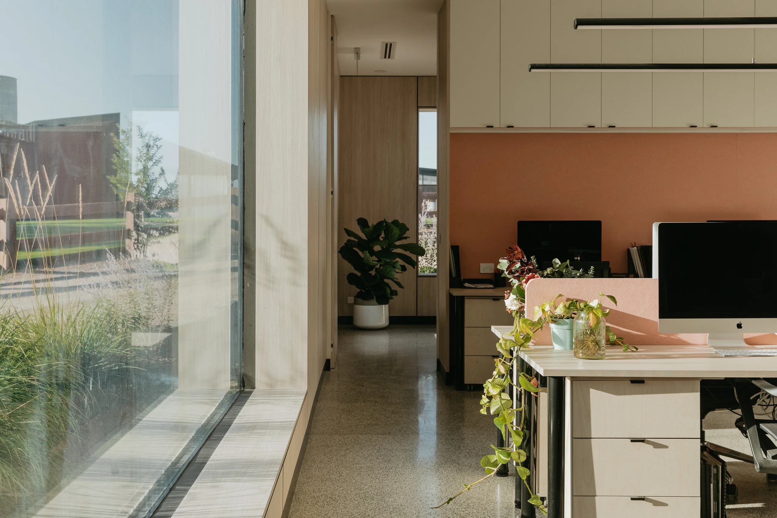 Zonzo Office - Image 12